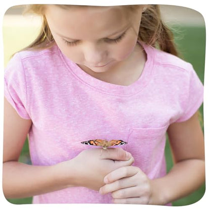 Insect Lore 2 Cups of Caterpillars Basic - 10 Live Baby Painted Lady Caterpillars - Refill for Habitat Kit - Caterpillars and Food Included - style: 2 Cups Basic