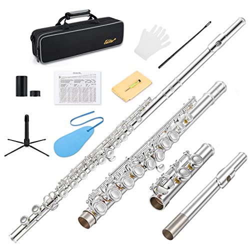 Eastar 16-Key Closed Hole C Flute Advanced Upgraded Silver Full Kit, EFL-1S - color: Silver Plated