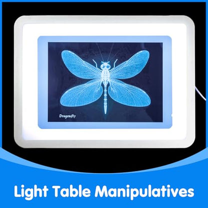 Insect Xrays – Bug Science Kit - Light Table Accessories - style: Insect Series