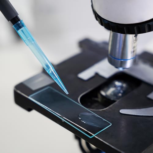 Microscope Slides, 75 x 25mm, Plain Slides, 3600 Pcs/Case - color: Clear, size: 3600PCS