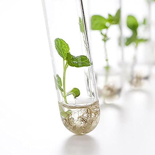 12x75mm Glass Test Tubes with Black Screw Caps, 5ml Boro Glass Test Tubes for Scientific Experiments, Candy Storage, Party and Home Decorations, Plant Propagation and Holiday Gifts, HUAOU, Pack of 10 - size: 12x75