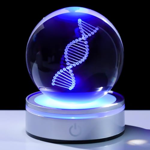 DNA Crystal Ball with LED Base - Unique 3D Laser Engraved Science Decor, Gift for Biology Teachers, Medical Students & Science Lovers, Classroom Lab Decor Night Light - color: Dna