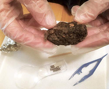 hand2mind Large Barn Owl Pellets, Set of 50