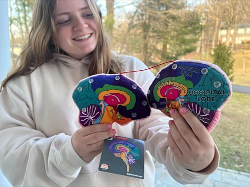 GIANTmicrobes Brain Model Anatomy Plush with Embroidered Details