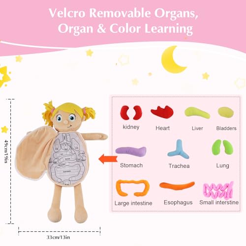 Vocheer Human Body Anatomy Toy, Human Body Model for Kids, Montessori Plush - color: Pink