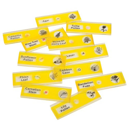 Prepared Microscope Slides for Kids – 24 Plastic Plant & Vegetable Specimens with Labels & Images – Safe, Durable Biology Science Kit for Students Ages 8+ - size: Plant & Vegetable -24 pc