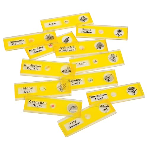 Prepared Microscope Slides for Kids – 12 Plastic Plant Specimens with Labels & Images – Safe, Durable Biology Science Kit for Students Ages 8+ - size: Plants - 12 pc