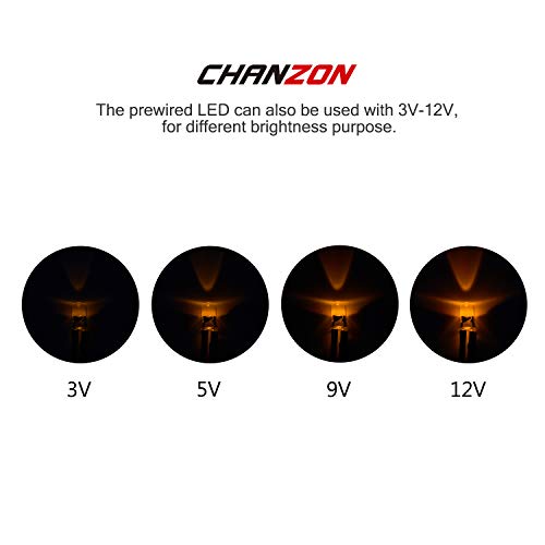 CHANZON 20 pcs Pre-Wired 5mm Yellow LED Diode Lights (DC 12V) - color: F) Yellow (20pcs)