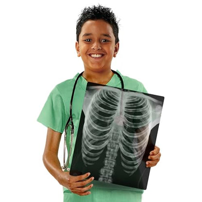 Human X-Rays – 18-Piece Life-Size Skeletal Set for Light Table or Window Exploration, Ages 5+ - style: Human