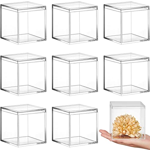 Blulu 8 Pcs Clear Acrylic Box with Lid, 3.9 x 3.9 x 3.9 Inch, Classic Style - size: 3.9 x 3.9 x 3.9 Inch, style: Classic style