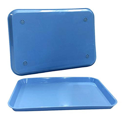 Blue Dental Autoclavable Plastic Instrument Set Up Flat Tray (13.25 Inches x 9.75 Inches, Size B) By PlastCare USA - color: Blue