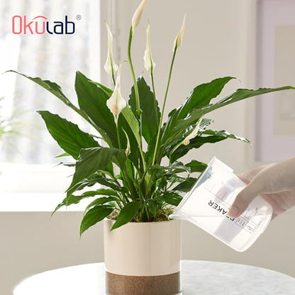 12pcs Plastic Beakers, 12pcs of Vol.30ml Lab Beakers Plastic Measuring Cup, PP Material, with Black Printed Graduation,BKLP25A12