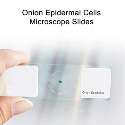 25pcs Microscope Slides for Prepared Onion Root Tips Cell Mitosis Microscope Slides Microbiology, Glass Slides for Microscope, Biology Gifts
