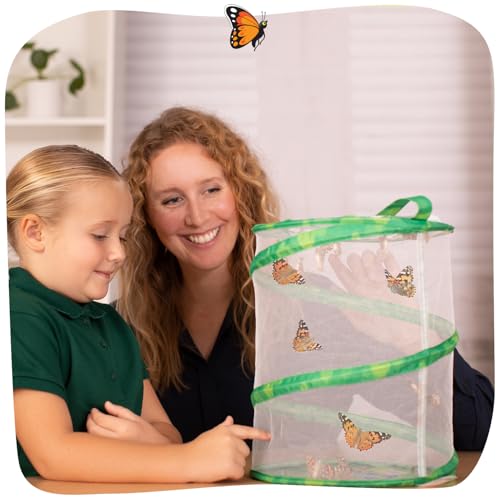 Insect Lore Butterfly Garden Kit with Live Caterpillars – Grow 10 Painted Lady Butterflies - STEM Learning Activity, Habitat with Journal, Stickers, Seeds & Figurines - As Seen on TV - style: As Seen On TV