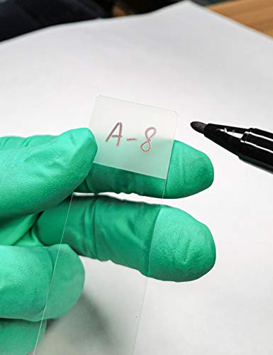 MUHWA 50PCS Blank Microscope Slides and 100PCS Square Cover Glass 22mmx22mm Coverslip (7105 Frosted) - style: Single Frosted