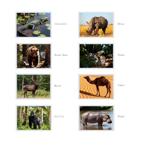 Thematic Animal X-Rays, Set of 16, Simulation Specimen, Science Education Materials for Kindergarten & Preschool, Light Table Accessories, Montessori & Reggio-Inspired (Wild Animals) - color: Wild animals