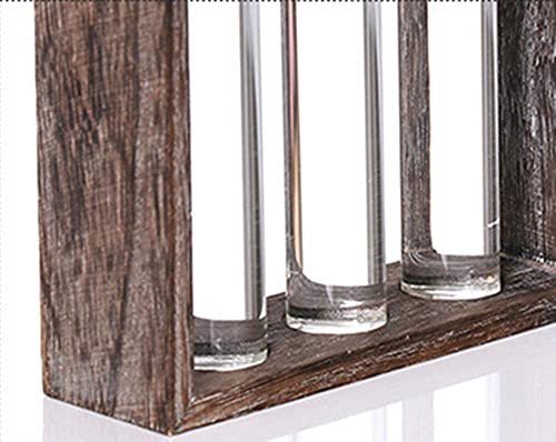Kingbuy 3 Pack Glass Test Tube Propagation Vase Hydroponic Cuttings Planter - size: 3 Pack