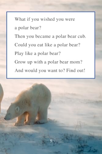 Ranger Rick: I Wish I Was a Polar Bear: A Level One I Can Read book packed with vivid polar bear photos, Arctic facts, and a blubber activity―ages 4-8 (I Can Read Level 1)