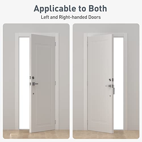 HOSOM 2 Pack Self Closing Door Hinges 4 Inch Spring Hinges, Brushed Nickel - color: Brushed Nickel-5/8'', size: 4" 2 Pack