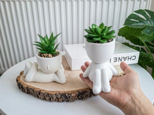Small Fake Plant Office Decor for Women - Desk Decorations - Cute Office Decor - Office Plants Decor for Wall Shelf - Succulents Fake Plants Home Decor - Office Desk Accessories - size: (C ) White with green