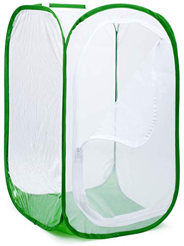 4 Feet Extra Large Monarch Butterfly Habitat, Giant Collapsible Insect Mesh Cage Terrarium Pop-up (White + Green, 28 x 28 x 48 Inches) - size: 28 x 28 x 48 Inches