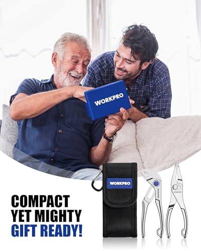 WORKPRO 2-Piece Mini Pliers Set with Pouch for Tight Spaces & Versatile Use - color: Silver