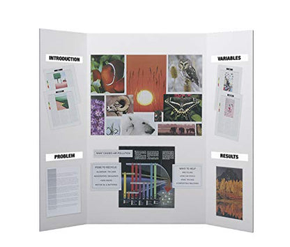 Flipside Products 36” x 48” Project Boards for Presentations, Science Fair, School Projects, Event Displays and Trifold Picture Board, Proudly Made in USA - Clay White - 10 Pack - color: Clay White, size: 10 Pack