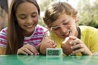 4M Potato Clock DIY Green Science Chemistry Engineering Lab - STEM Toys Educational Gift for Kids & Teens, Girls & Boys, Brown - style: Potato Clock