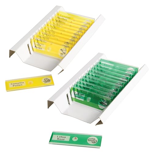 Prepared Microscope Slides for Kids – 24 Plastic Plant & Vegetable Specimens with Labels & Images – Safe, Durable Biology Science Kit for Students Ages 8+ - size: Plant & Vegetable -24 pc