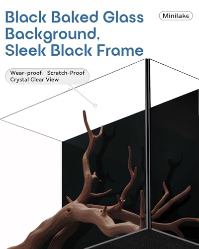 5 Gallon Glass Aquarium Starter Kit, Rimless Fish Tank - color: Black, size: 5 Gallon