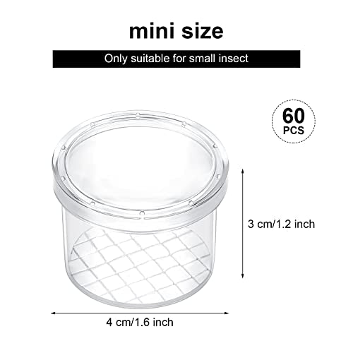 Thyle 60 Pieces Bug Viewer Bug Cage Catcher Magnifying Insect Box Bug Magnifier Container Bug Catcher Cage Nature Jar Bulk for Science Class Exploration Backyard Tools Outdoor