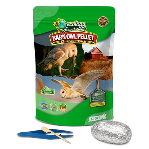 Barn Owl Pellets for Dissection for Classrooms, Medium 10-Pack Kit by OBDK - size: Medium (1.5 to 2.5 inches)