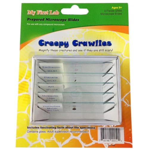 Creepy Crawlies Prepared Slide Mini Set (5/kit)