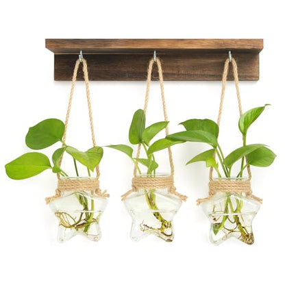 XXXFLOWER Wall Hanging Propagation Station with 3 Star-Shaped Glass Vase - size: 3 Star-Shaped Glass Vases