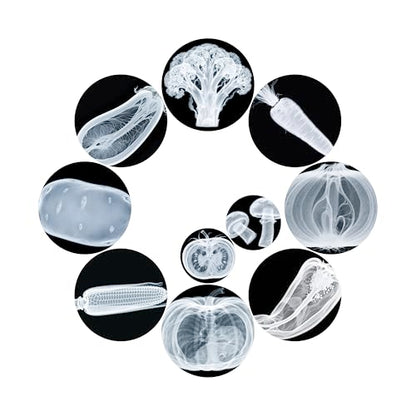 Vegetable, Fruit and Plant X-Rays, Set of 10, Simulation Specimen, Science Experiment Material for Kindergarten, Light Table, Montessori & Reggio-Inspired (Vegetables)