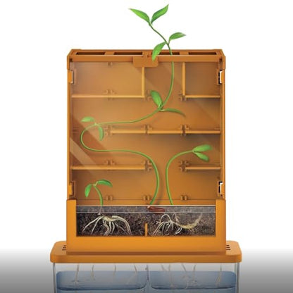 4M Green Science Grow-A-Maze DIY Plant Growth Lab and STEAM Science Kit