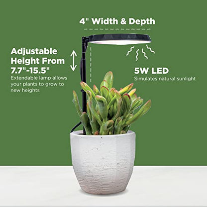 AeroGarden Stem Grow Light for Indoor Plants, Black - color: Black