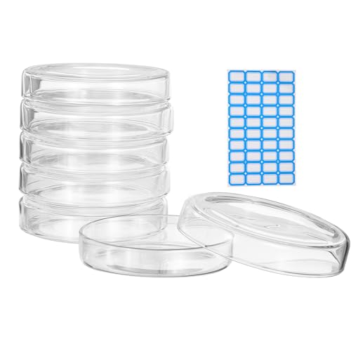 PATIKIL 5Pcs Glass Petri Dish w/Lid, 120mm H Autoclavable Culture Dishes - size: 120 mm