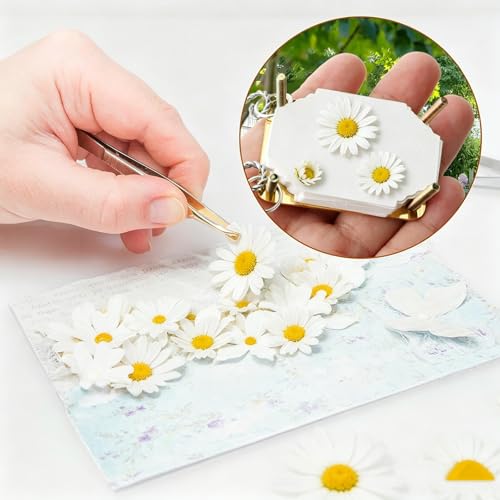 Mini Flower Press, Miniature Flowers Press Kit, Metal Pocket Flower Pressing, with Secure Straps for Hikes, DIY Crafts Gift for Plant Lovers