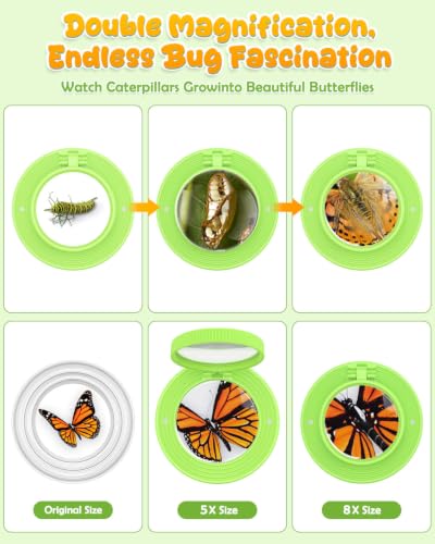Bug Catcher for Kids,Kids Microscope,3-in-1 Insect Catching Kit for Kid - color: Ligth green