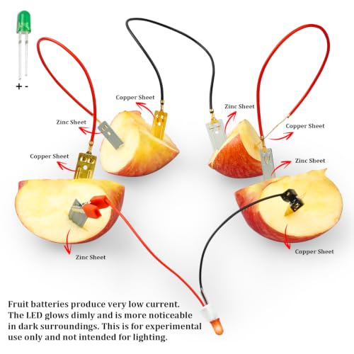 Science Kits for Kids, 6 Pack Fruit Battery Bulk STEM Circuit Kits 6-12