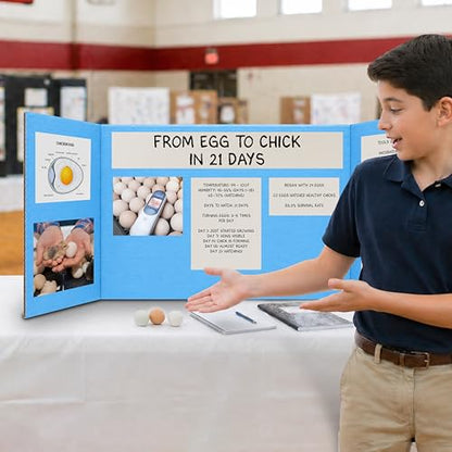 Flipside Products 18" x 48" Sky Blue Project Boards, Pack of 24, Trifold, Presentation Board, DIY Projects, Small Display, Science Fair, Classroom, Clubs, 4H, Graduation - color: Sky Blue