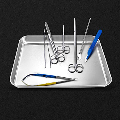 QWORK Stainless Steel Instrument Tray, Utility Tray Tool Organizer Trays for Lab Instruments, 10 5/8" x 6 11/16" x 1 5/16", Flat Bottom Tray