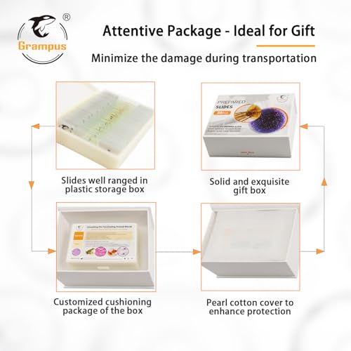 30 Prepared Microscope Slides with Specimens for Kids Students - Animal Microscope Slide Sets for Biological Lab, Children's Science Education, Homeschooling - style: 30PCS Animals