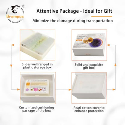 30 Prepared Microscope Slides with Specimens for Kids Students - Animal Microscope Slide Sets for Biological Lab, Children's Science Education, Homeschooling - style: 30PCS Animals