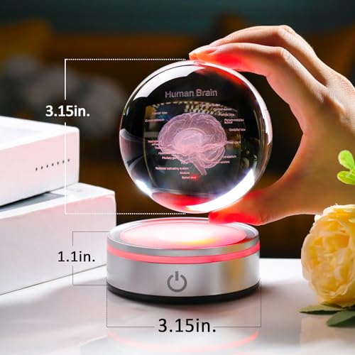 Brain Gifts for Neurologist, Laser Ethced Human Brain Anatomical Model 3D Crystal Ball, Brain Surgery Gifts for Doctors, Physiology Graduation Gifts for Medical Students for Christmas - color: Brain