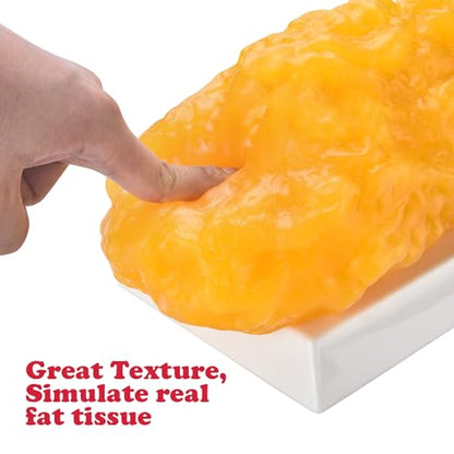 SimCoach 5 lb Human Body Fat Model Replica