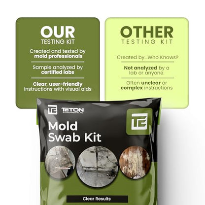 Mold Test Kit for Home – Lab Fees Included, Detects 20+ Mold Types, Swab & Air Sample Testing, Lab Analysis in 1 Business Day Once Lab Receives Sample (1 Pack)