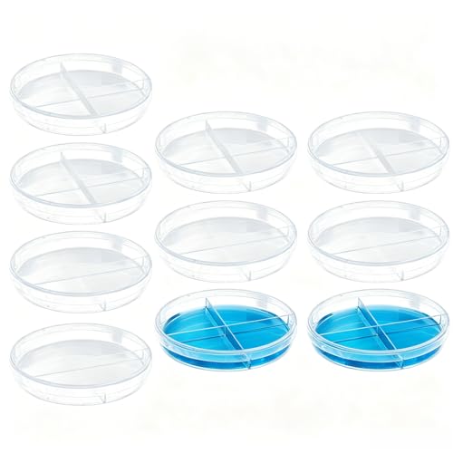 PartyKindom 10 Pack Transparent Petri Dish Four Compartments Cell Culture Dishes 3.54 X 3.54 X 0.59 in Scientific Teaching Aid for Biology Microbiology Lab Experiments