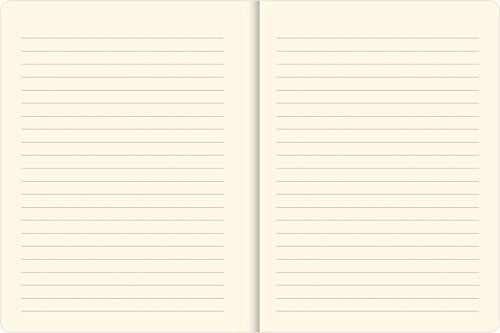 Golden Flight Journal